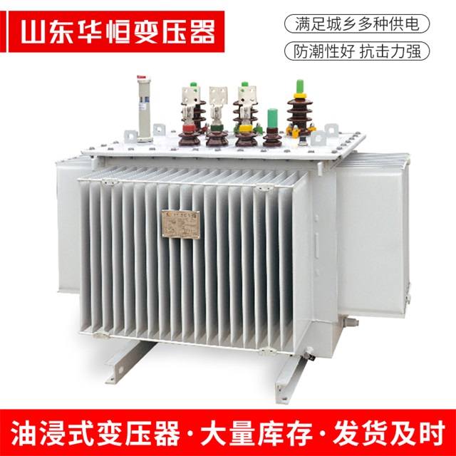 S13-10000/35东明东明东明电力变压器