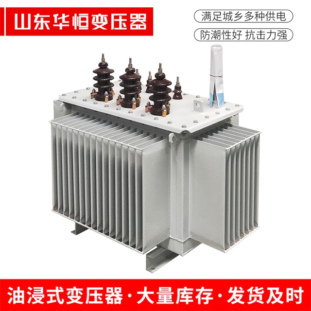 S13-10000/35东明东明东明油浸式变压器厂家